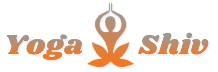 Yoga Teacher Certification