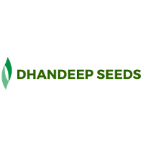 Dhandeep Seeds Trading Company