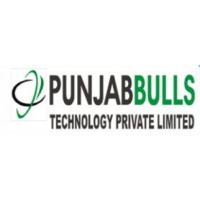 Punjabbulls Technology Pvt Ltd